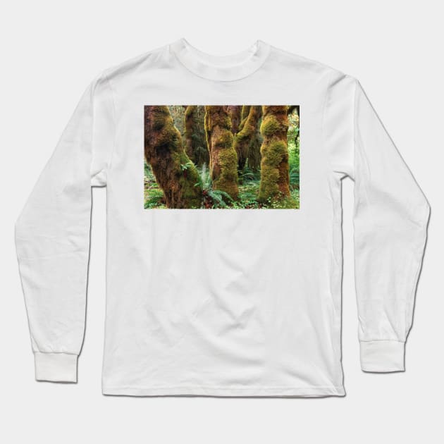 Mossy Big Leaf Maples Hoh Rainforest Olympic National Park Long Sleeve T-Shirt by RhysDawson